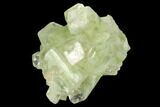 Green Apophyllite Crystal Cluster - India #126115-1